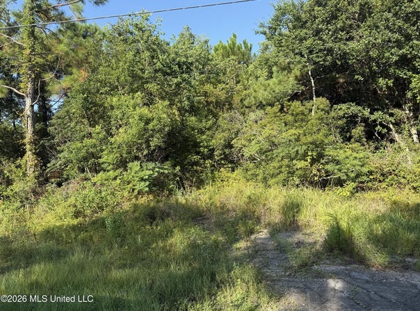 5187 Forest Avenue, Bay Saint Louis, MS 39520