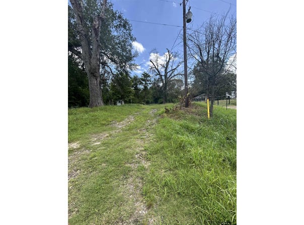 6447 State Hwy 155, Gilmer, TX 75645
