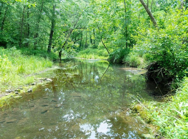 802 Silver Springs RD, Evening Shade, AR 72532