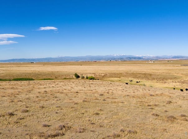 CR 7, Wellington, CO 80549