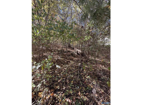 4620 Legacy Preserve Way, Brownsboro, AL 35741