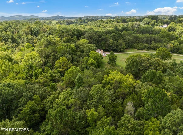 9712 Thorngrove Pike, Strawberry Plains, TN 37871