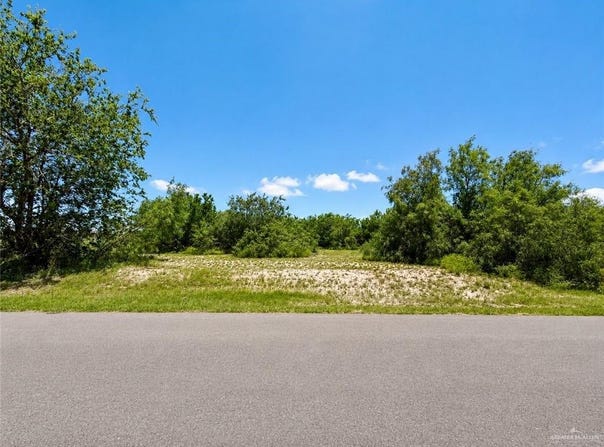 Monte Cristo Heights Road, Edinburg, TX 78541