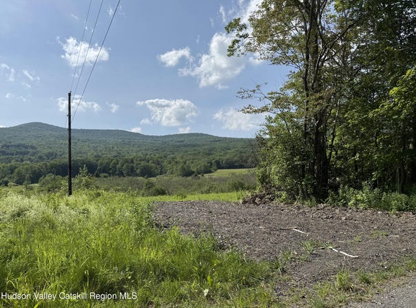 Mitchell Hollow Road, Windham, NY 12496