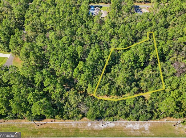 110 Canoe Run, Woodbine, GA 31569