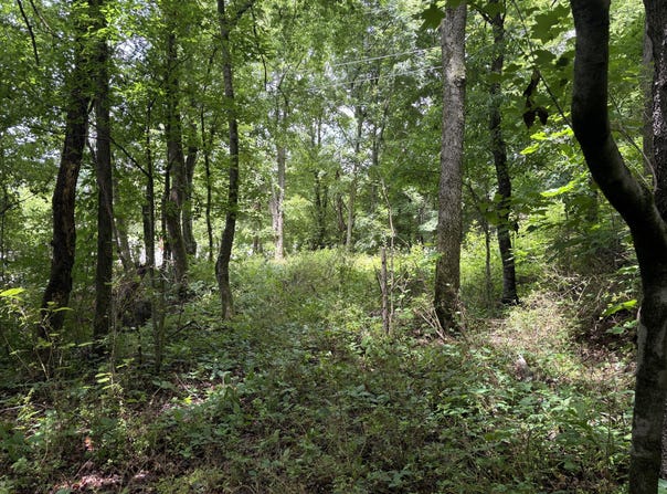 Bellfounte Road NE, Cleveland, TN 37312