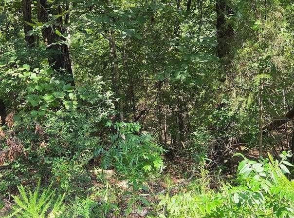 W Red Rock, Cookson, OK 74451