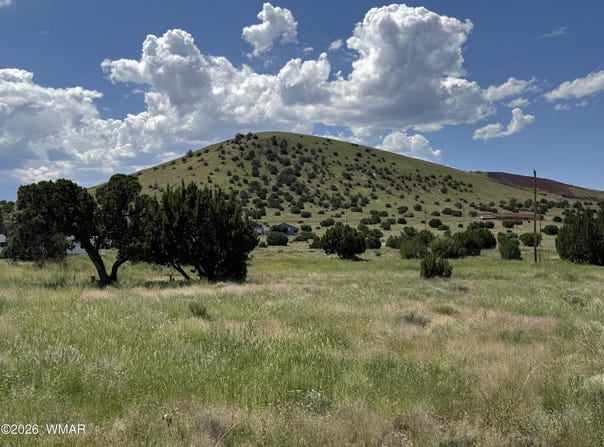 31 County Road 5203, Concho, AZ 85924