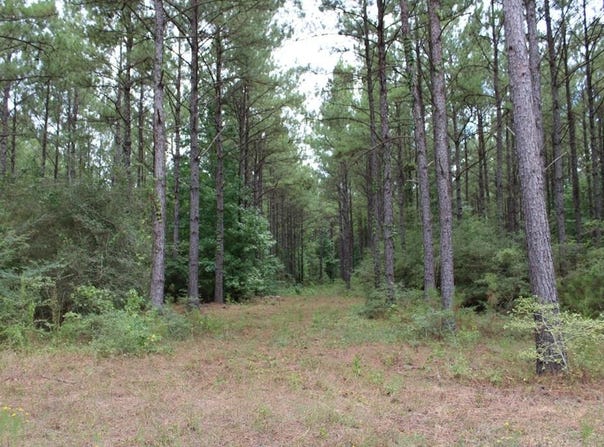 PID 69934 Duff Rd, Livingston, TX 77351