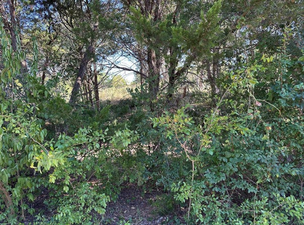 Robin Run lot: 9, Bastrop, TX 78602