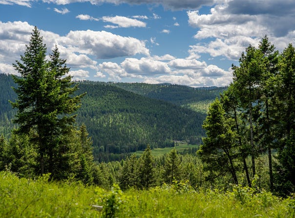 2342 Sirius View, Kalispell, MT 59901