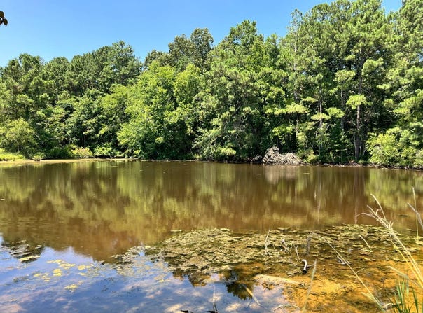 --- Farrah Road, Saluda, SC 29138
