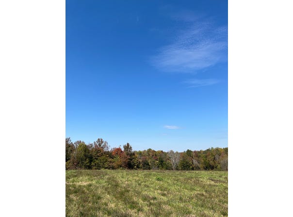 Bill Purdue Rd., Albany, KY 42602