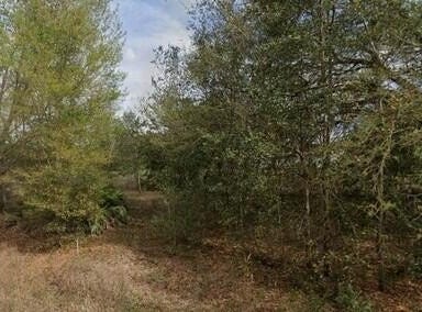 Lenore Avenue, Interlachen, FL 32148