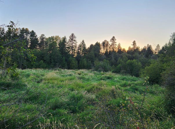 W Enoch Rd, Deer Park, WA 99006