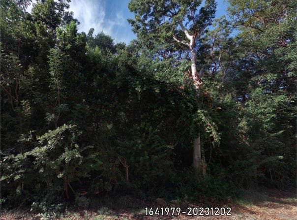 Poinsetta Drive, Key Largo, FL 33037