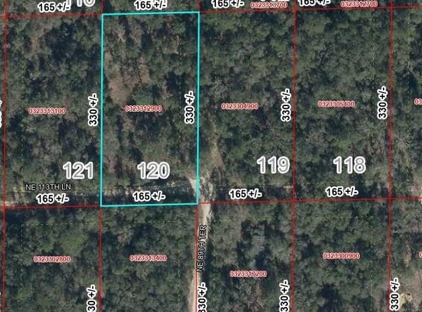 NE 113TH LN lot: 120, BRONSON, FL 32621