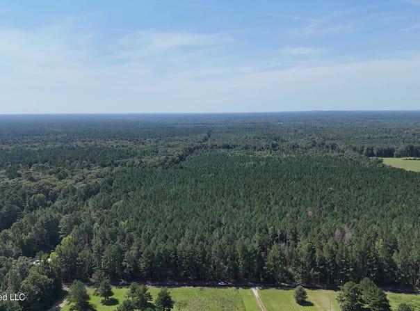 Davis Road, Morton, MS 39117