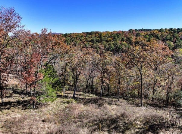 Ravenwood, Hot Springs, AR 71901