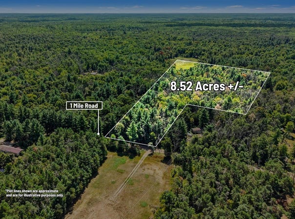 1 Mile Road, Morley, MI 49336