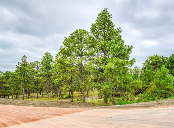 3 Freedom Drive W, Pine Haven, WY 82721