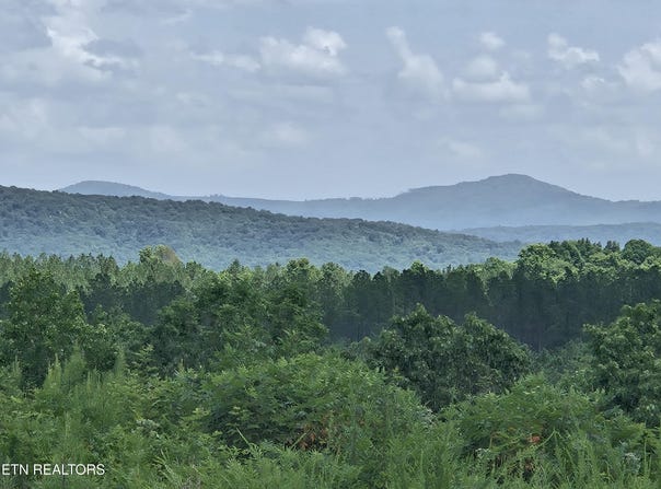 Owl Ridge Way, Sunbright, TN 37872