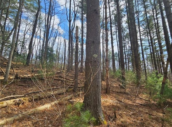 Panorama Drive, Todd, NC 28684