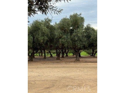 Kibby, Merced, CA 95340