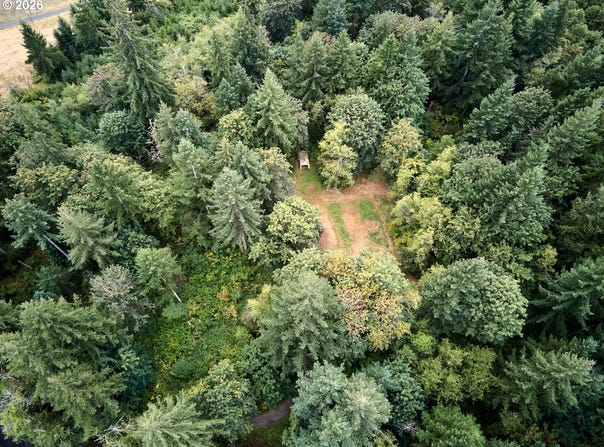 38610 NE ROTSCHY Rd, Yacolt, WA 98675