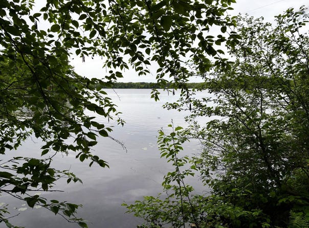 ON PARDEE LAKE RD, Oma, WI 54534