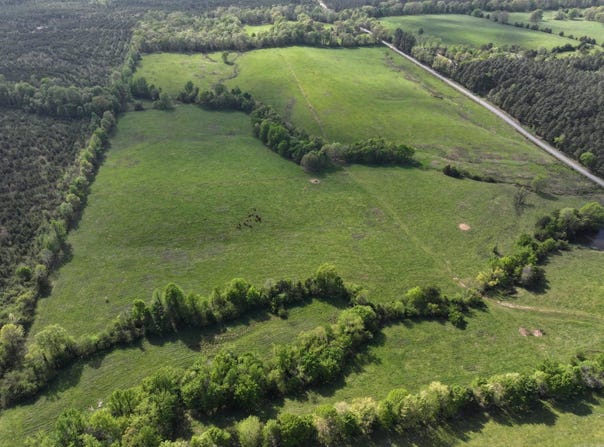 Polk Road 16, Cove, AR 71937