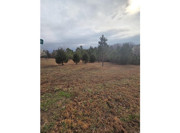 Tournament Drive, Mountain View, AR 72560
