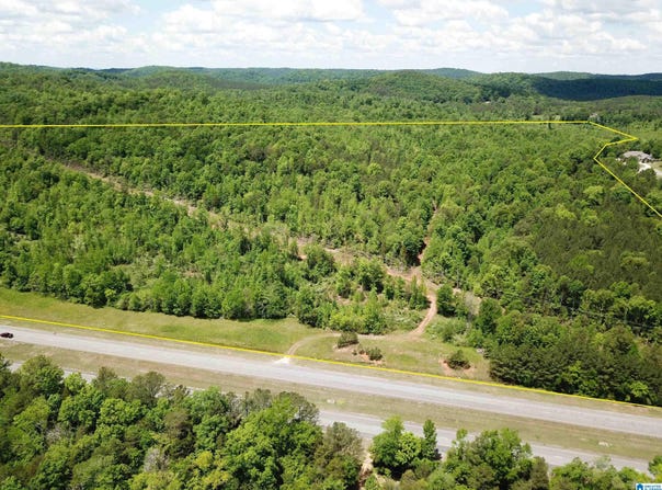 HIGHWAY 75 lot: #3, ONEONTA, AL 35121