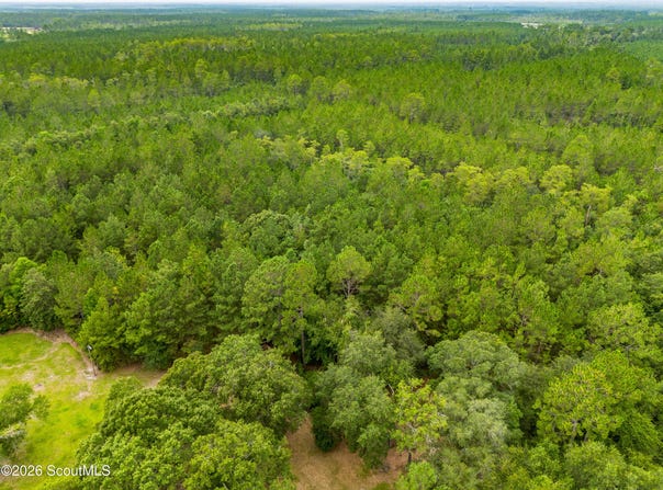 Morgan Road, Waycross, GA 31503