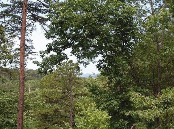 384 Back Pine Way, Ellijay, GA 30540