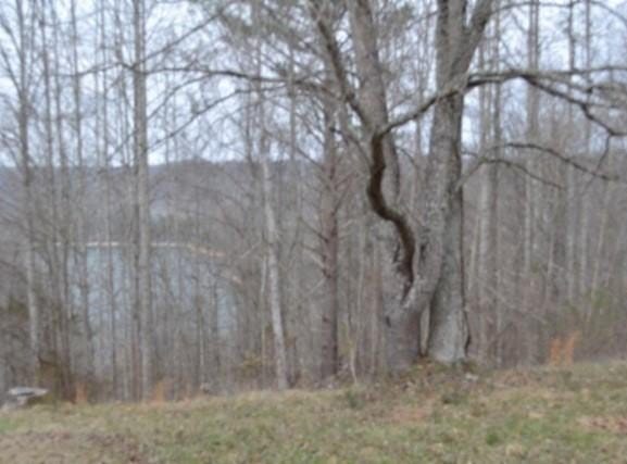 Fox Hill Road lot: 4&5, Baxter, TN 38544