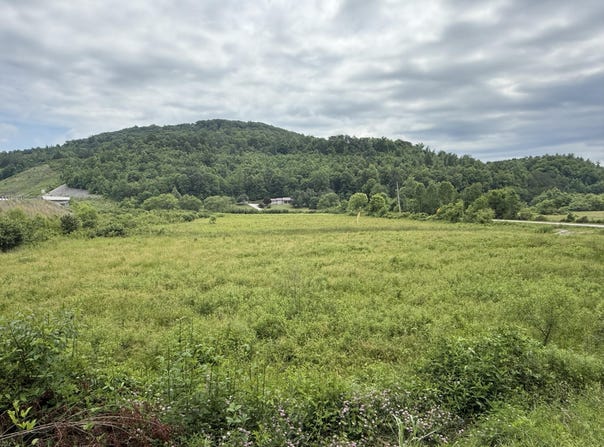 31 Hayes Creek Rd, Pine Knot, KY 42635