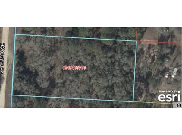 131, MORRISTON, FL 32668