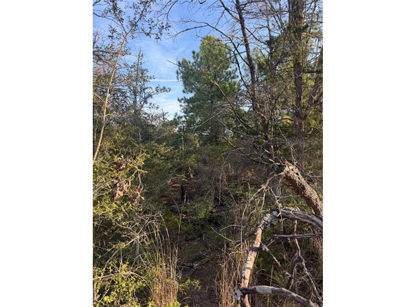 142 Helemano Dr, Bastrop, TX 78602