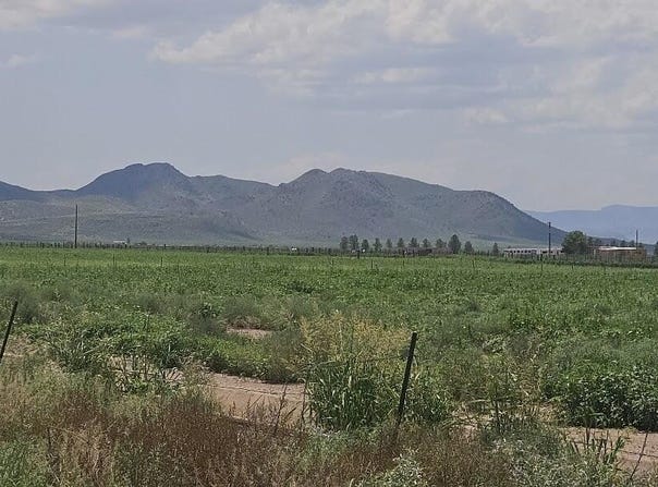 20 Acres S ROBISON Road, Willcox, AZ 85643