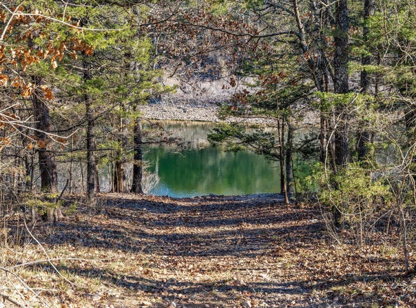 2416 Bread Tray Mountain Road, Lampe, MO 65681