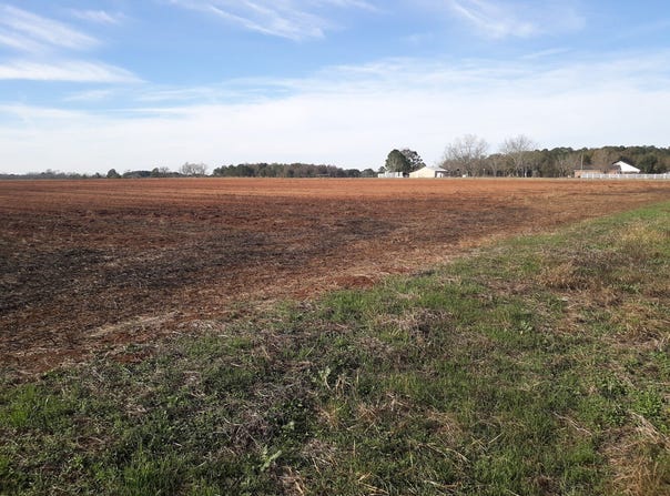 CR 1, Daleville, AL 36303