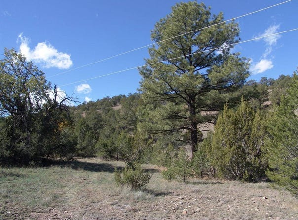 Ranch Road-Tee Pee Ranch lot: 88, Datil, NM 87821