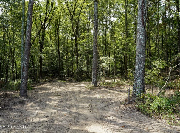 Johns Shiloh Road, Brandon, MS 39042