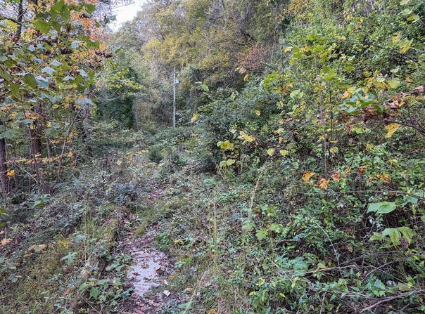 142 Fishtrap Rd, Shelbiana, KY 41562