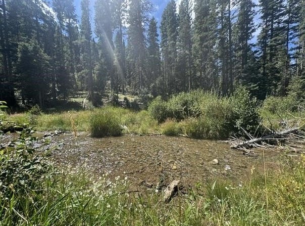 1325 Highway 150, Taos Ski Valley, NM 87525