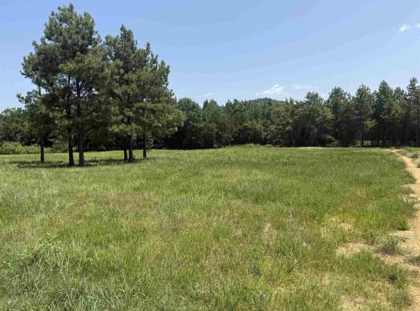 5883 Hwy 123, Lamar, AR 72846