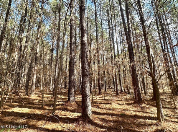 4 Prentiss Crump Road, Terry, MS 39170