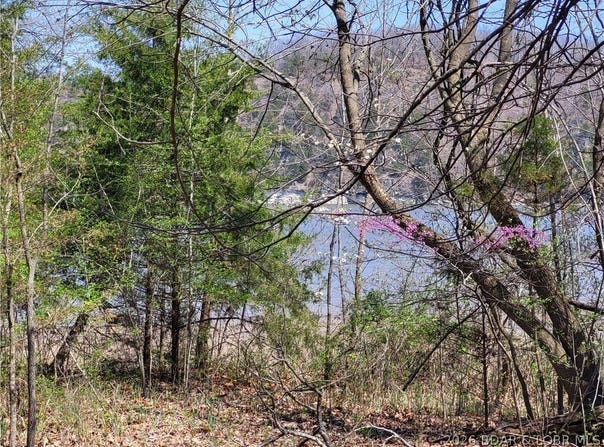 Emerald Hills Drive, Edwards, MO 65326
