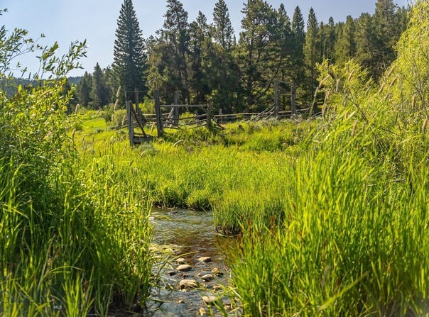 Woodchuck Road, Bozeman, MT 59715